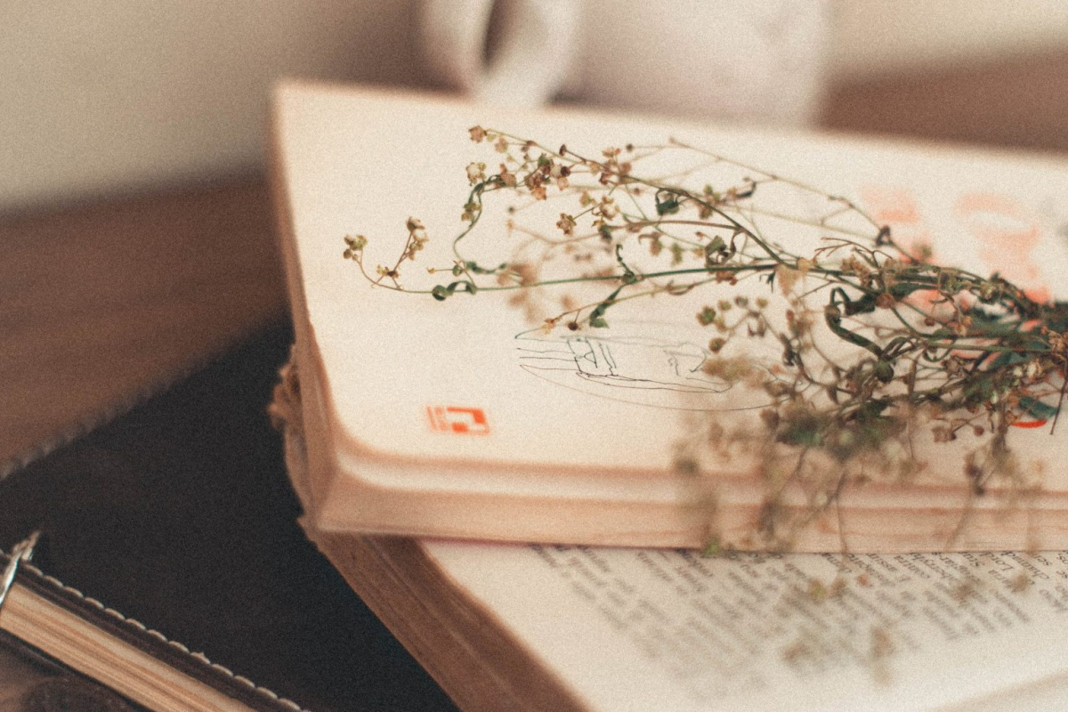 Poesia e vita di Francesco Nigri | La poesia vive in uno spazio frequentato da tutti e il poeta vive la tensione del sapere e del sentire